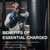 RAW Pre-Workout Powder, Essential CHARGED (Citrus Grapefruit) - Preworkout Supplement for Men, Women - Supports Focus, Mood, Performance - Caffeine, Alpha-GPC, L-Citrulline, Beta Alanine (25 Servings) view 4