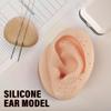 2Pcs Silicone Ear Model- Left and Right Soft Flexible Fake Ear Simulation Artificial Ear Display Model for Shop Window Display, Jewelry Earring Display, and Impression Taking Practice view 3