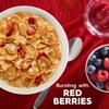 Kellogg's Special K Red Berries Breakfast Cereal, Good Source of Fiber, Giant Size, 19.2 oz view 3