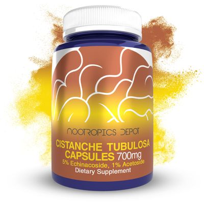 Nootropics Depot Cistanche tubulosa Capsules | 700mg | 5% Echinacoside + 1% Verbascoside (Acetoside) | 180 Count