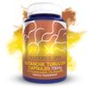 Nootropics Depot Cistanche tubulosa Capsules | 700mg | 5% Echinacoside + 1% Verbascoside (Acetoside) | 180 Count view 1