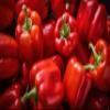 Fresh Organic Red Bell Peppers by RawJoy Farms, 1 Pound view 2