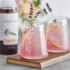 FixtureDisplays Capora Lavender Flavoring Syrup 750 mL WS-513SYPLVNDER-NF view 2