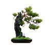 YXIANG56Q Fake Plants Living Room Decorative Plants Simulation Green Bonsai High-grade Interior Decoration Simulation Tree Desktop Feng Shui Ornaments Bonsai Tree, yuqing2022 view 1
