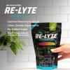 REDMOND Re-Lyte Hydration Electrolyte Powder Mix, Variety Pack, 30 Stick Packs view 3