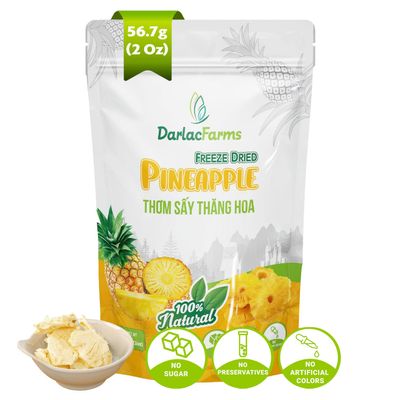 DARLAC FARMS Freeze Dried Pineapple Slices, 2 Oz  100% Fruit Only, No Sugar Added, Crispy Freeze Dried Fruit Snacks, Healthy Dried Fruit Snack for Kids & Adults