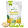 DARLAC FARMS Freeze Dried Pineapple Slices, 2 Oz  100% Fruit Only, No Sugar Added, Crispy Freeze Dried Fruit Snacks, Healthy Dried Fruit Snack for Kids & Adults view 1
