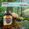 AMPEXT Lions Mane Mushroom Extract - Premium Quality, Only Fruiting Bodies, Cognitive Functions, Memory & Focus, Immunity Booster, 90 Veg Caps. view 4