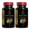 OLANTA TRADE SOLUTION Candida PRO Complex - Oregano Oil Supplement, reishi Mushroom Supplement Organic, Wormwood Herbal Supplement Organic caprylic Acid Capsules - 2 Bottles 120 Capsules view 1