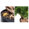 YXIANG56Q Fake Plants Artificial Bonsai Entryway Living Room Greenery Large Fake Tree Hotel Decorations Zen Ornaments Bonsai Tree view 3