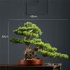 YXIANG56Q Fake Plants High-end Simulation Greenery Bonsai Ornaments Hotel Decorative Simulation Tree Entrance Living Room Potted Plants Landscaping Bonsai Tree, yuqing2022 view 2