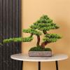 Fake Plants Restaurant Hotel Fake Greenery Potted Plant Fake Pine Tree Coffee Table Ornaments Chinese Decorations Simulation Pine Tree Bonsai Bonsai Tree view 3