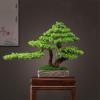 Fake Plants Restaurant Hotel Fake Greenery Potted Plant Fake Pine Tree Coffee Table Ornaments Chinese Decorations Simulation Pine Tree Bonsai Bonsai Tree view 4