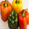 Fresh Organic Rainbow Bell Peppers Red, Yellow, Orange, and Green by RawJoy Farms, 2 Pound view 1
