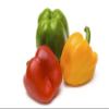 Fresh Organic Rainbow Bell Peppers Red, Yellow, Orange, and Green by RawJoy Farms, 2 Pound view 2