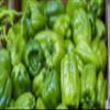 Fresh Organic Green Bell Peppers by RawJoy Farms (2 Pound) view 2