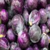 Fresh Organic Red Cabbages by RawJoy Farms, Pack of 5 view 2