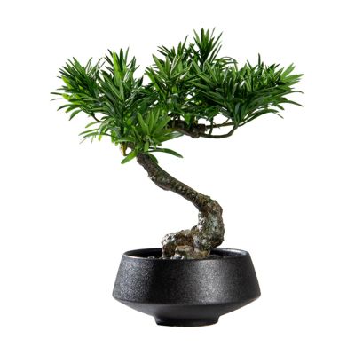 Fake Plants Artificial Small Bonsai Pine Tree Fake Green Plant Ornament with Black Ceramic Pot Japanese-style Plant Potted Coffee Table Shelf Book Wine Cabinet Decorative Ornament Bonsai Tree