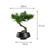 Fake Plants Artificial Small Bonsai Pine Tree Fake Green Plant Ornament with Black Ceramic Pot Japanese-style Plant Potted Coffee Table Shelf Book Wine Cabinet Decorative Ornament Bonsai Tree view 2