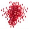 Fresh Organic Red Juicy Pomegranate Seeds by RawJoy Farms, 3 Pound view 1