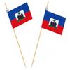 JAVD Haiti Flag Haitian Toothpick Flags view 1