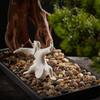 YXIANG56Q Fake Plants Zen Simulation Welcome Pine Bonsai Ceramic Ornaments Creative New Chinese-Style Home Offic Porch Living Room Decorations, Size 29.53 * 9.54 * 14.96 Inch Bonsai Tree view 3