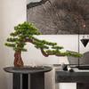 YXIANG56Q Fake Plants Zen Simulation Welcome Pine Bonsai Ceramic Ornaments Creative New Chinese-Style Home Offic Porch Living Room Decorations, Size 29.53 * 9.54 * 14.96 Inch Bonsai Tree view 4