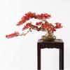 Fake Plants Artificial Bonsai Tree 17 Inches Artificial Plant Japanese Maple Trees Zen Garden Decoration Ornaments for Home Office Desktop Decor Indoor Bonsai Tree view 4