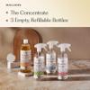 Branch Basics Cleaning Essentials Kit: All Purpose, Glass, Bathroom Cleaner view 3