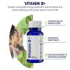 Zemvelo Vitamin B+ - Encourage Sustainable Energy Production | Support Healthy Immune System | Aid in Development of Seratonin and Dopamine | 30 Day Supply view 2