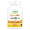 SuperNutrition Boswellia Serrata Phytosome with Sunflower Lecithin, 250 mg, 60 Veggie Capsules view 1