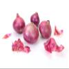 Fresh Produce Organic Red Onions by RawJoy Farms, Pound 1 view 1