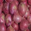 Fresh Produce Organic Red Onions by RawJoy Farms, Pound 1 view 2