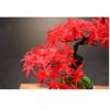YXIANG56Q Fake Plants Bonsai Artificial Plants Fake Plants Decorative Ornaments for Home Living Room Porch Farmhouse Indoor Outdoor (20.87x 4.72x 10.63inch) Bonsai Tree(A) view 3