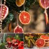 Dehydrated Grapefruit Slices,Dried Grapefruit Slices,Dry Fruit for Cocktail Garnish/Crafts/Tea/Christmas Garland Indoor,No Sugar Added,5.2Oz/150g view 4