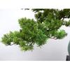 YXIANG56Q Fake Plants Artificial Arborvitae Pine Artificial Potted Plant Living Room Welcoming Pine Small Bonsai Creative Twisted Shape Coffee Table Decoration Bonsai Tree, yuqing2022 view 3