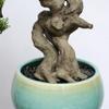 YXIANG56Q Fake Plants Artificial Arborvitae Pine Artificial Potted Plant Living Room Welcoming Pine Small Bonsai Creative Twisted Shape Coffee Table Decoration Bonsai Tree, yuqing2022 view 4