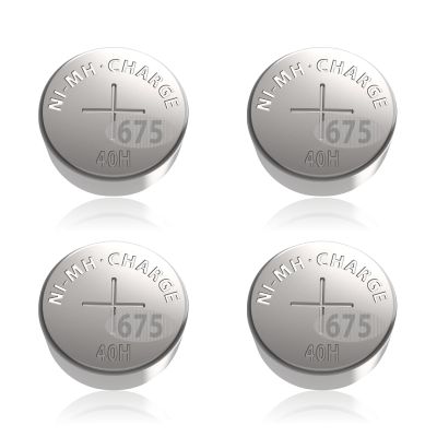 Wokyo 4 PCS Hearing Aid Batteries 675 Rechargeable, Hearing Aid Charger Replacement Batteries for 675 Hearing Aids, Compatible with The Same Brand Charging Case Only