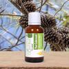 Cloud Bud Pure Cedarwood Essential Oil 100ml 3.38oz Juniperus Virginiana 100% Pure and Natural Therapeutic Grade view 2