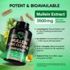 Mullein Lung Detox - Mullein Leaf Extract - Marshmallow Root | Echinacea | Oregano | Quercetin | NAC - 15-in-1 Lung Support & Cleanse for Smokers Supplement - Made in USA - As Drops - 60 Capsules view 4