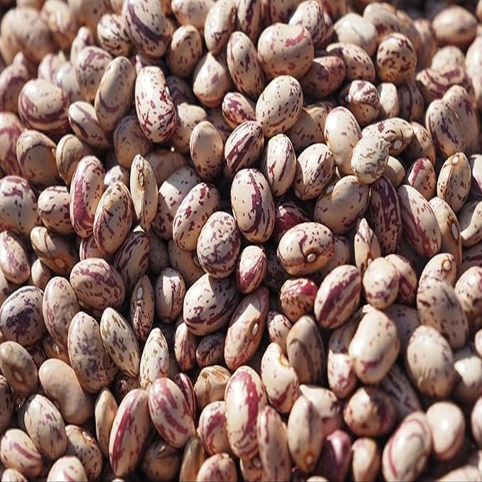Fresh Dry Cranberry Beans By RawJoy | Organic Fresh Canberry Beans