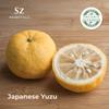 Sz Essentials - Yuzu Essential Oil - Japan - 100% Pure and Natural, Undiluted - Promotes Natural Solution for Relaxation with Soothing, Fresh and Citrusy Aroma - 0.17 fl oz (5ml) view 3