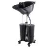 Portable Shampoo Sink, Dual 2.64 Gal Buckets, Electric Pump, Rolling Base view 1