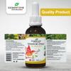 element one Natural Botanical Drops  Ginger Support Digestive for Comprehensive Wellness, Support Immune System, Promote Inflammation Relief, and Enhance Blood Circulation (50ml) view 2