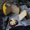 Patagonia Kern Butter Cheese, 32 Oz Round Format view 4