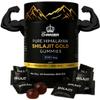 Shilajit Gummies for Men & Women | 3000mg Pure Organic Himalayan Shilajit with Ashwagandha Gokshura | Non-GMO, No Added Sugar | 85+ Trace Minerals & Fulvic Acid | 60 Gummies view 1