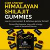 Shilajit Gummies for Men & Women | 3000mg Pure Organic Himalayan Shilajit with Ashwagandha Gokshura | Non-GMO, No Added Sugar | 85+ Trace Minerals & Fulvic Acid | 60 Gummies view 3