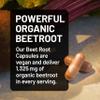 NatureWise Beet Root Capsules 1325mg with Organic Beetroot - Nitric Oxide Booster for Circulation and Heart Health Support - Vegan, Gluten-Free, Non-GMO - 240 Capsules[120 Day Supply] view 3