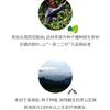 2017 Dovji Nannuo Big Tree Raw Pu-erh Tea Cake, 357g, from Yunnan view 4