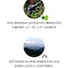 2017 Dovji Ban Zhang Big Tree Raw Pu-erh Tea Cake, 357g, from Yunnan view 4